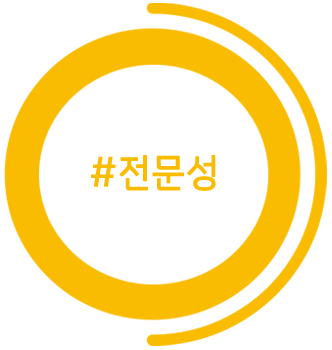 분석
